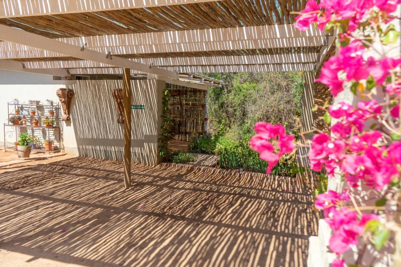 Gasteria Grange Guest House Calitzdorp Luaran gambar